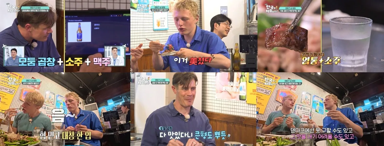 덴마크 형은 왜 동생들에게 한국 보여주려 했나