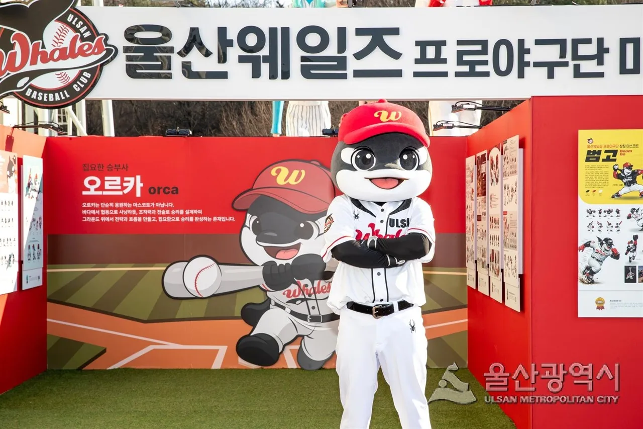 울산웨일즈, 폐지설 일축... KBO·체육회·야구협회와 지역상생 방안 내...