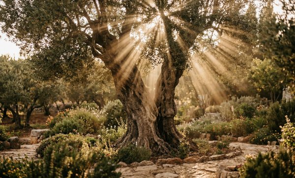 HOMEBOX20260418215415_10b4