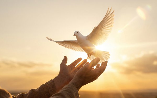 HOMEBOX20260418215426_21bf