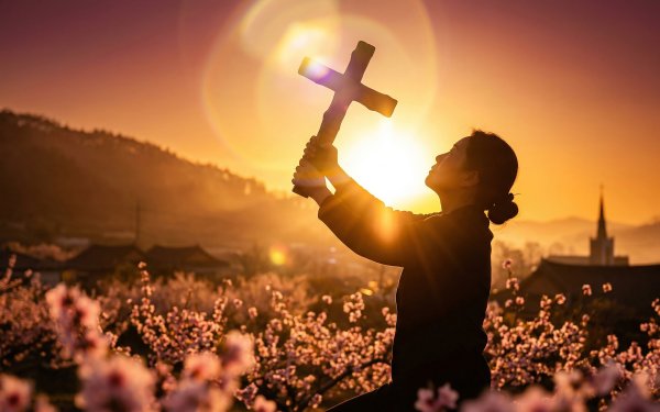 HOMEBOX20260418215506_3dfc