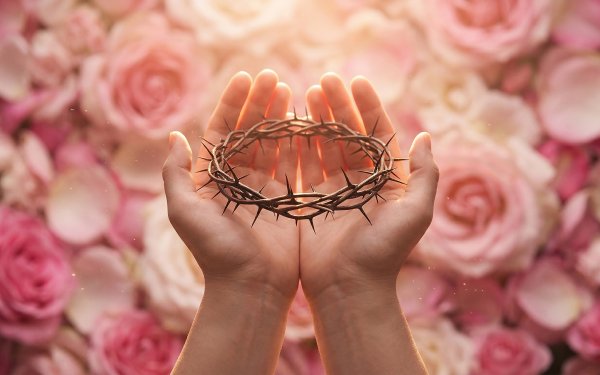 HOMEBOX20260418215534_9821