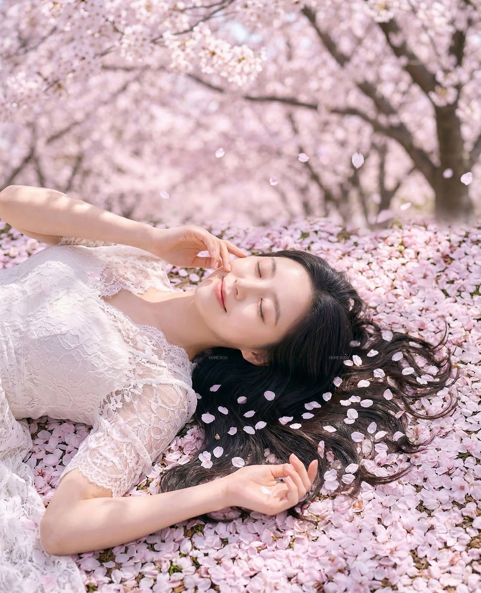 HOMEBOX20260415123755_49d7