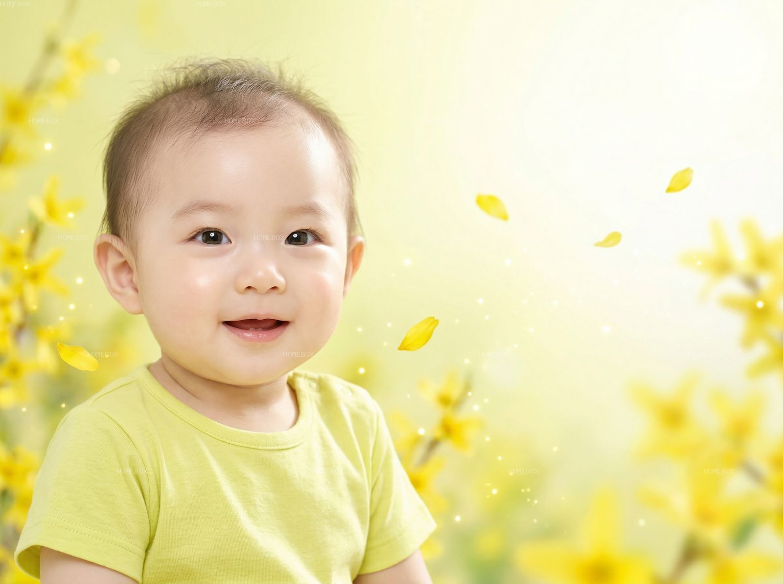 HOMEBOX20260415105147_f40d