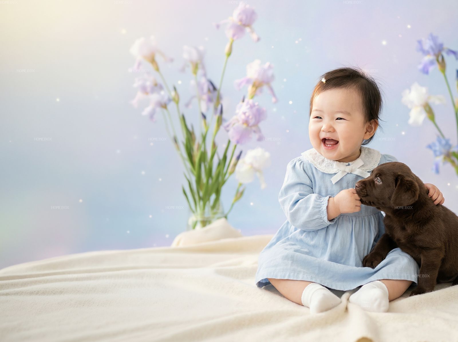 HOMEBOX20260415123151_868f