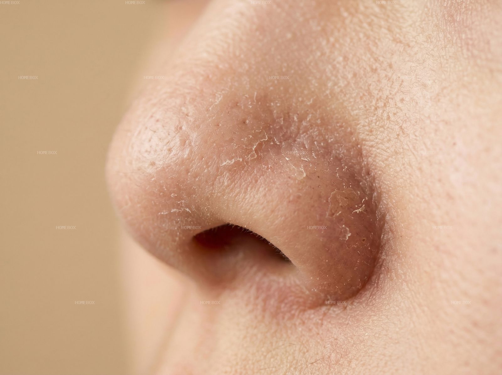 HOMEBOX20260414142337_4759