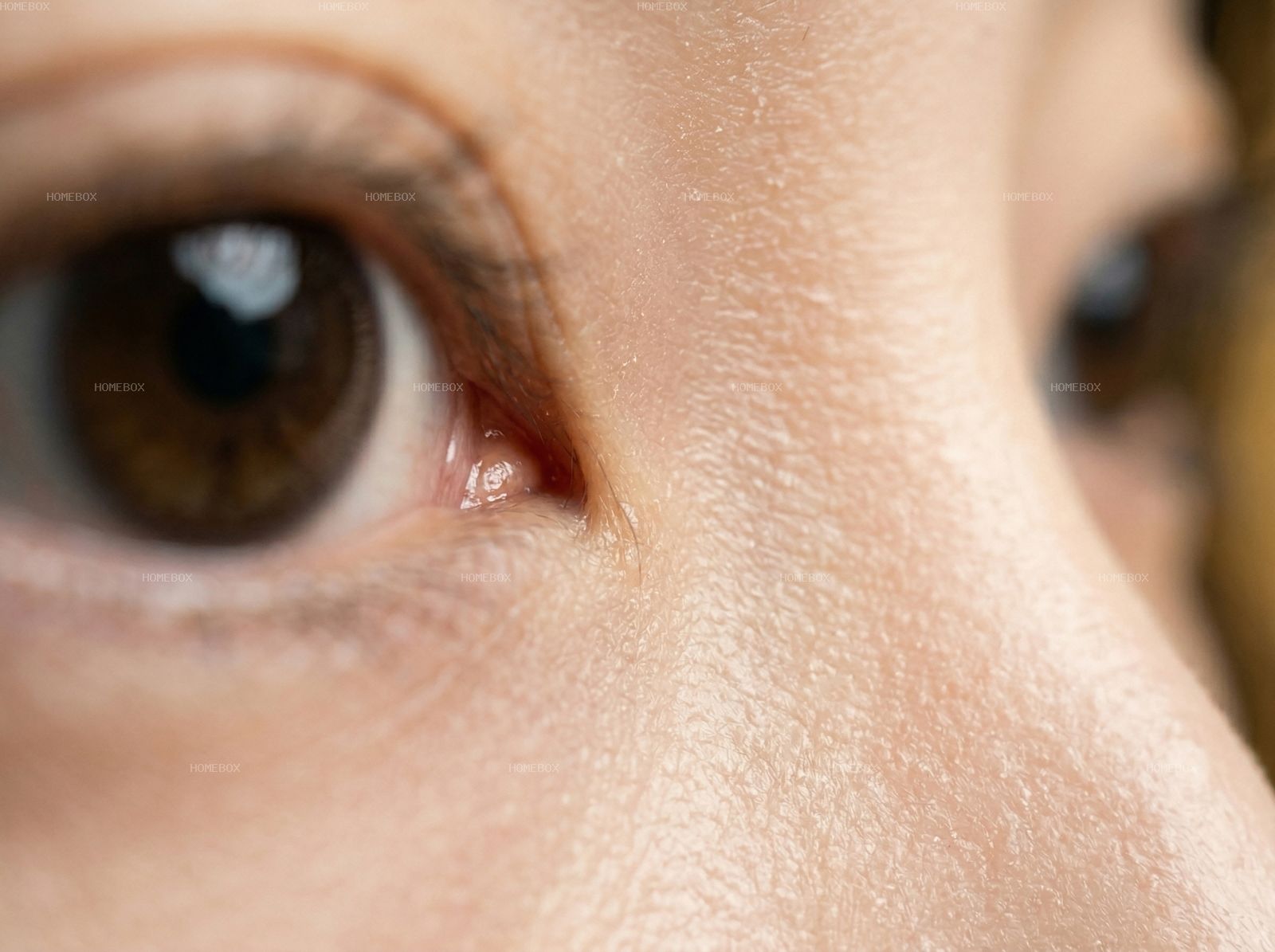 HOMEBOX20260414142349_aad9