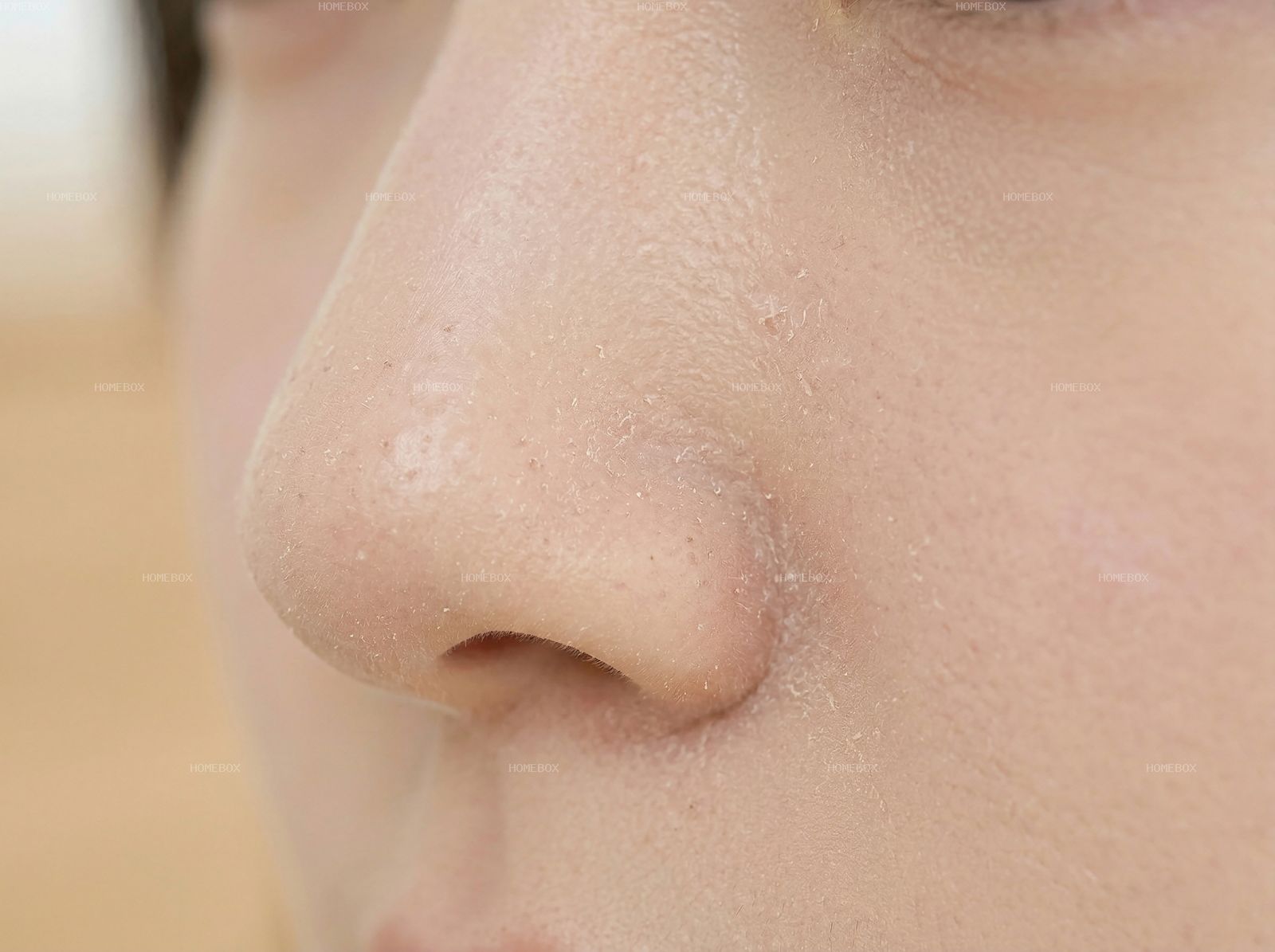 HOMEBOX20260414142356_9aa1