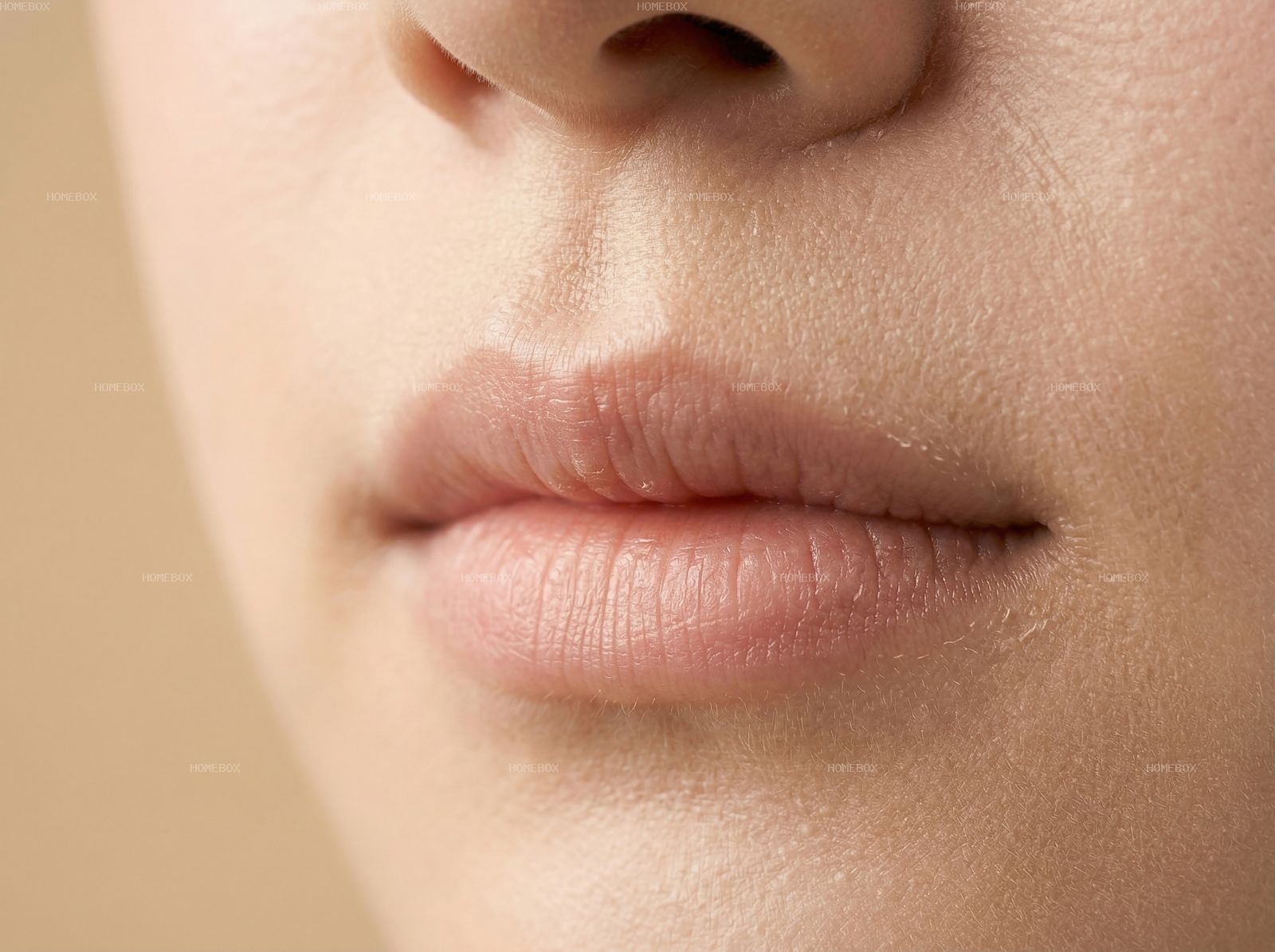 HOMEBOX20260414142427_dcc0