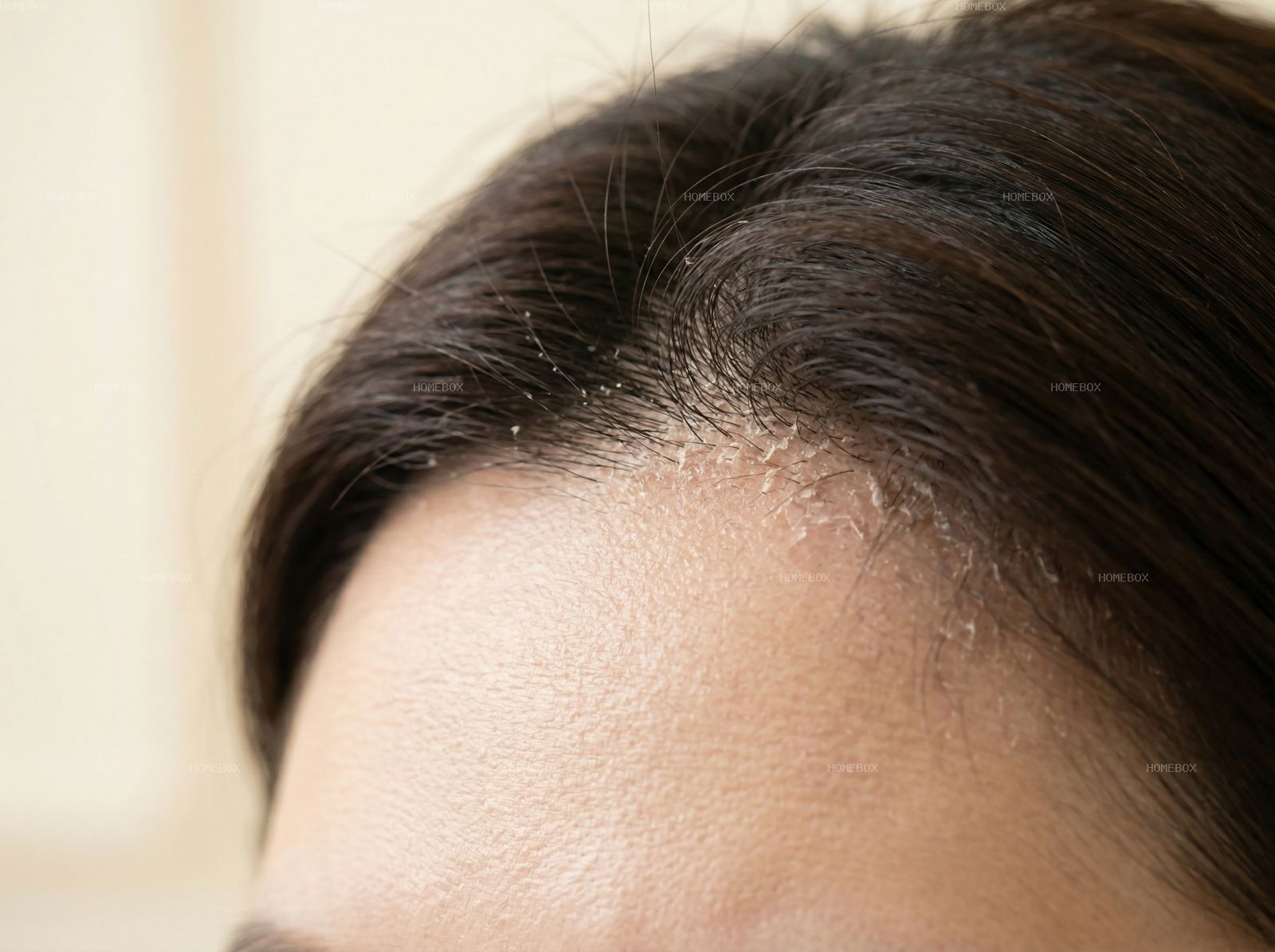 HOMEBOX20260414142433_b415