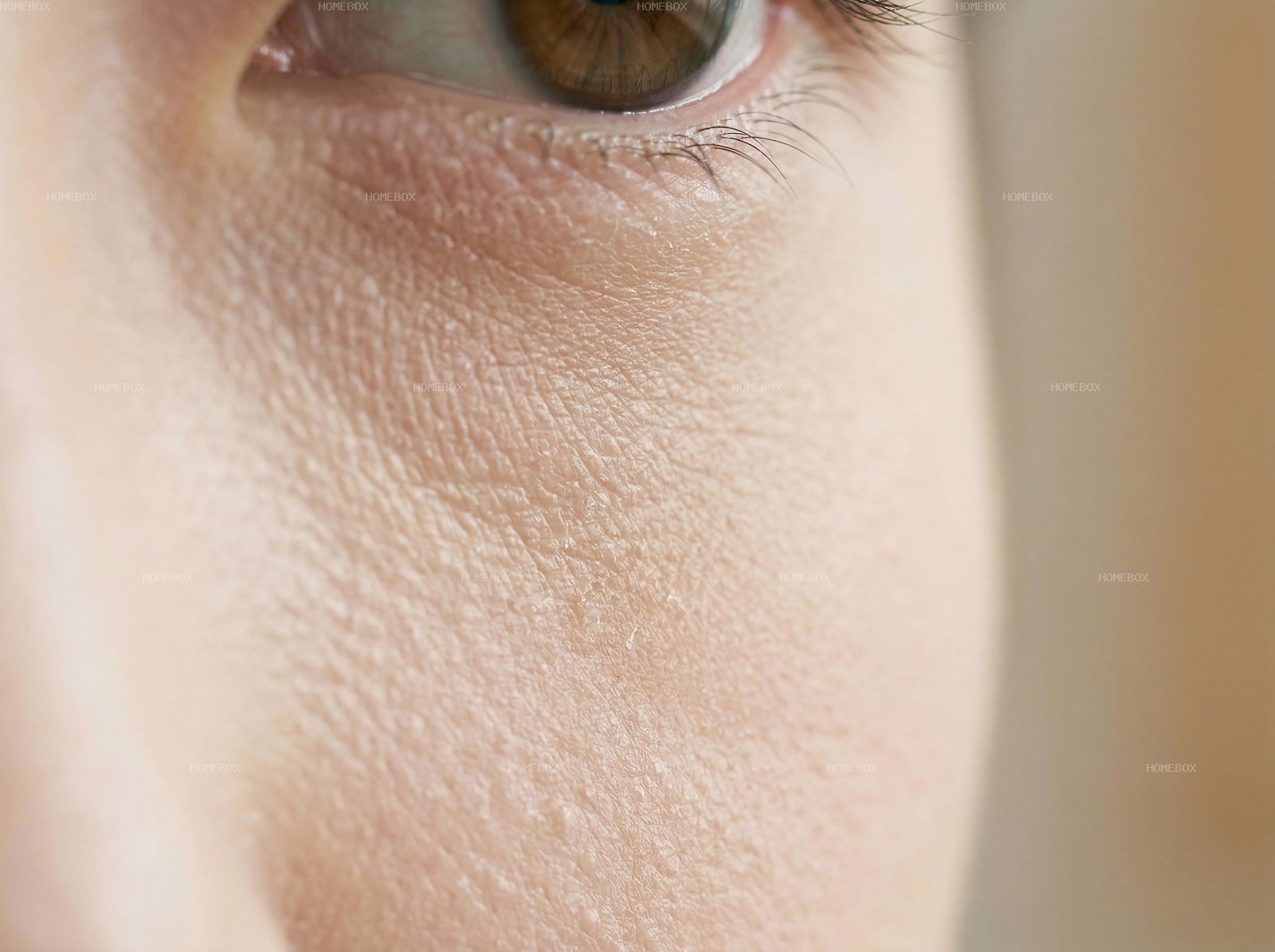 HOMEBOX20260414142445_57b6