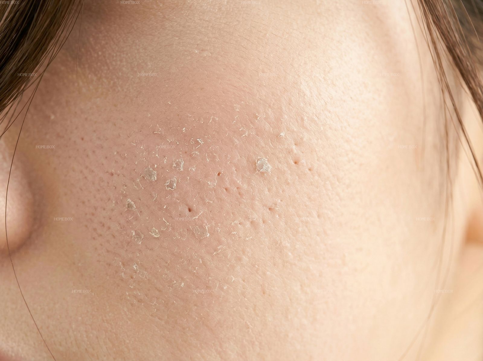 HOMEBOX20260414142459_6f64