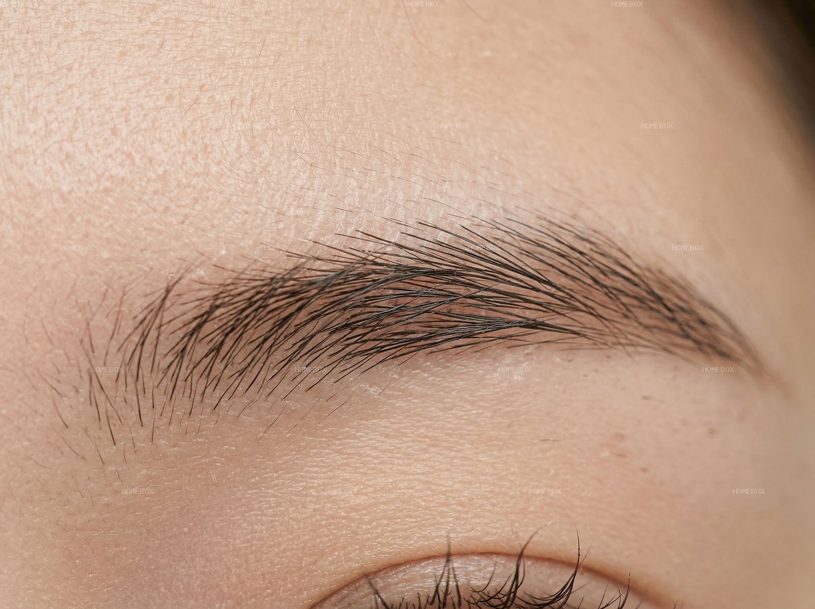 HOMEBOX20260414142516_47c2