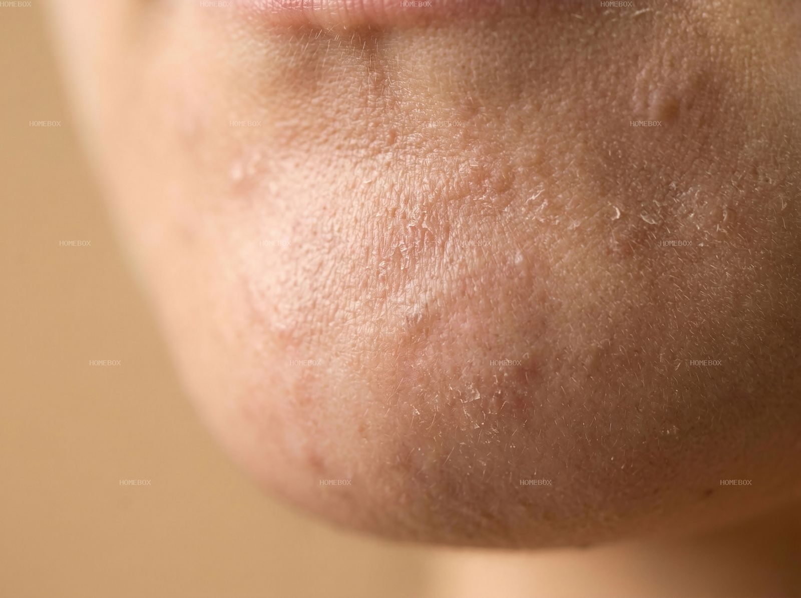 HOMEBOX20260414142520_71d3