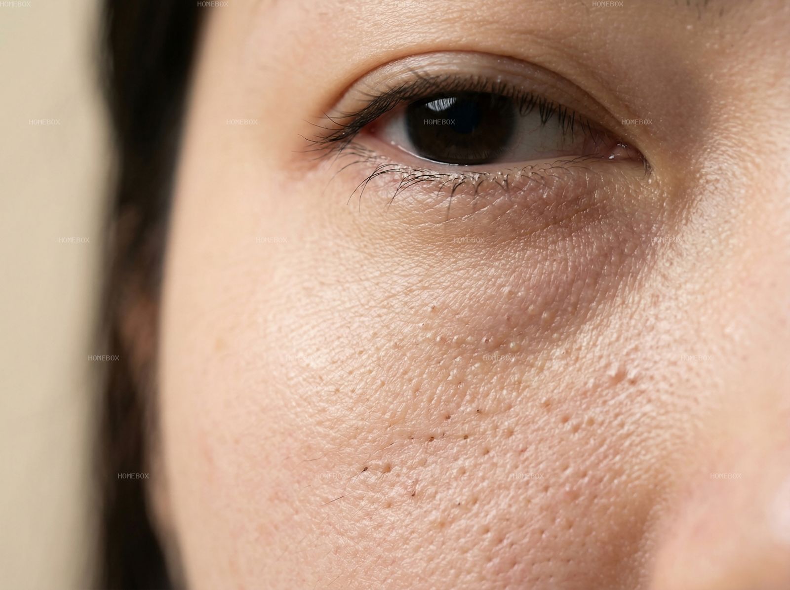 HOMEBOX20260414142534_9b79